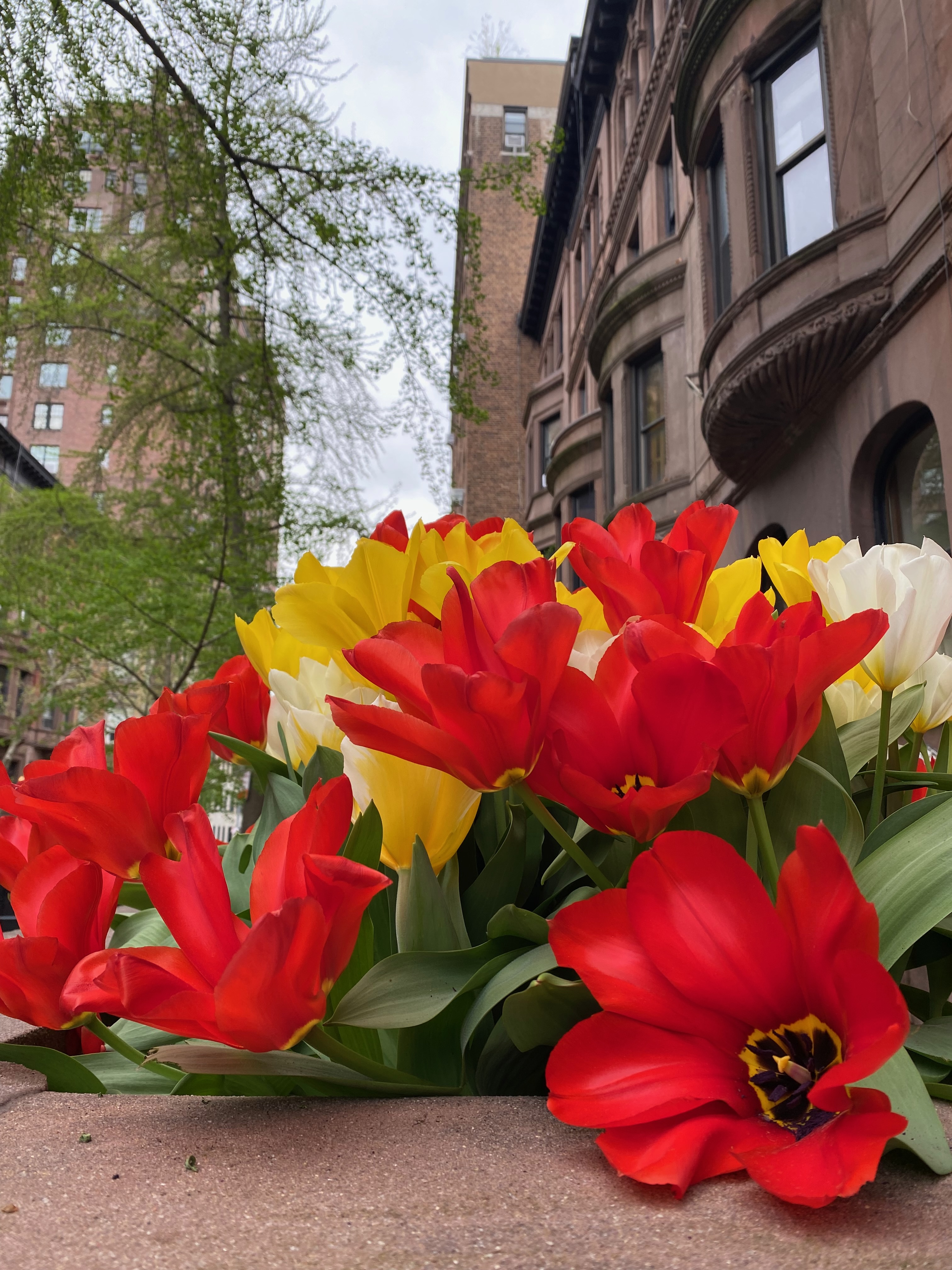 A Spring Family Weekend